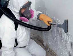 Best Environmental Consulting for Mold Prevention  in Sweetser, IN